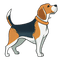 Beagle Mascot